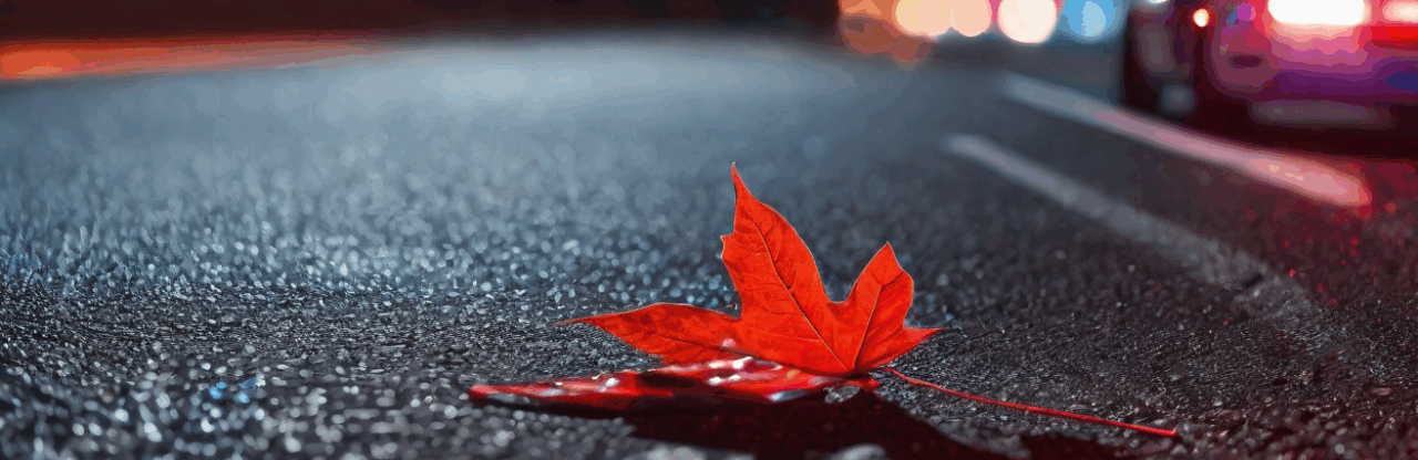 Feuille et voiture